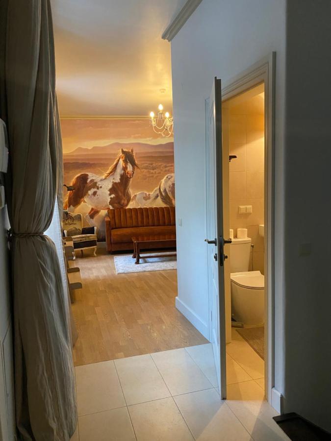 Exclusive Gaono Apartment In The Heart Of Old Town VNO Exterior foto